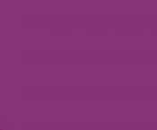 Neon Purple Gel Color