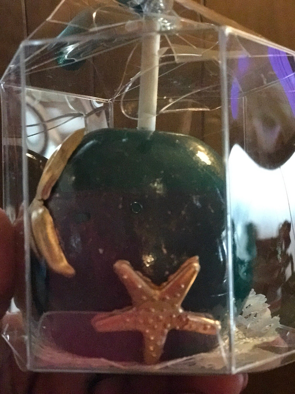 Large Starfish Chocolate Mold